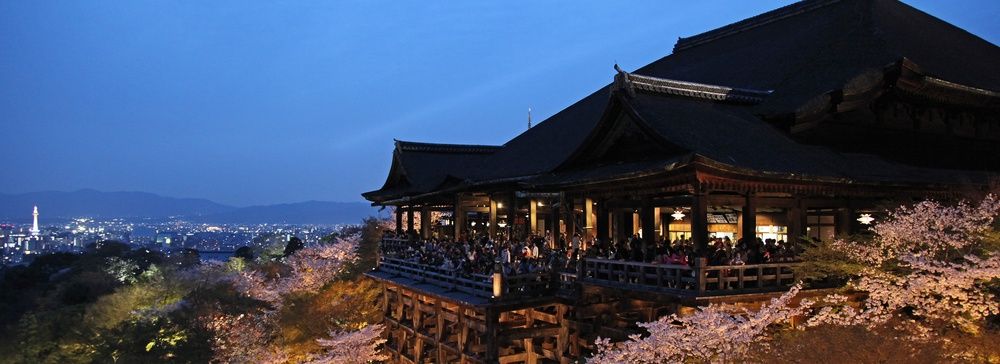 Tempio Kiyomizudera illuminato al crepuscolo con ciliegi in fiore, Kyoto.