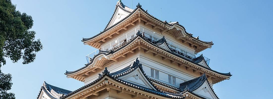 Il castello Odawara.