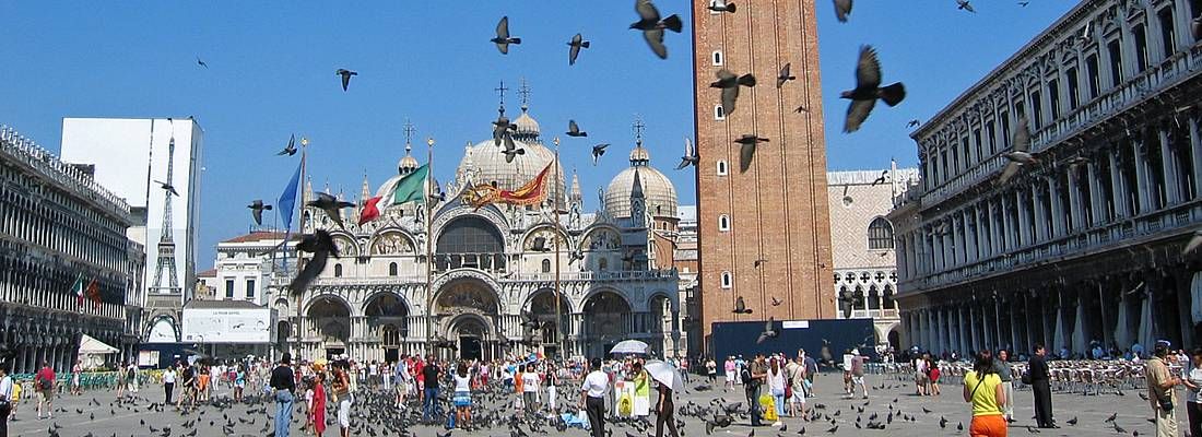 Piccioni volano a Piazza San Marco a Venezia.