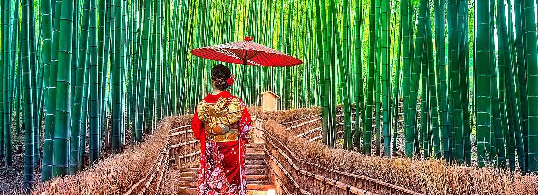 Ragazza in kimono cammina alla foresta di bambù di Kyoto.