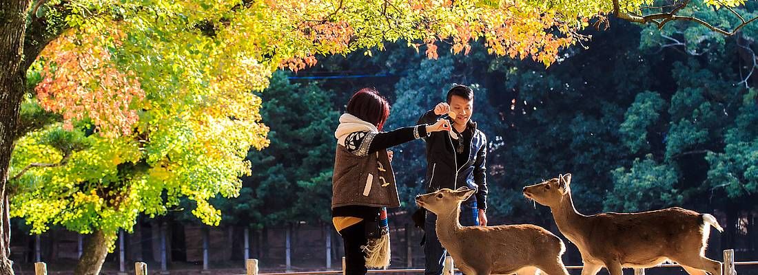 Due turisti si divertono insieme ai cervi al Parco di Nara.