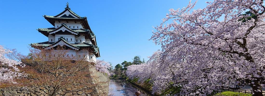 Il castello di Hirosaki, nel Parco di Hirosaki, in primavera.