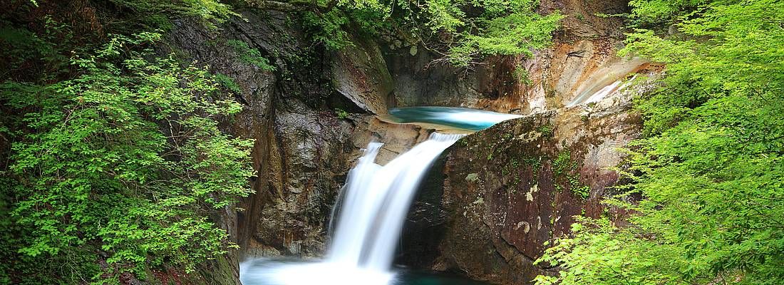 Piccola e meravigliosa cascata in una foresta a Nishizawa.