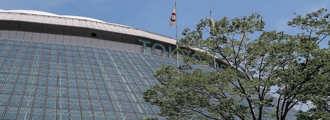 Dettaglio della cupola del Tokyo Dome.