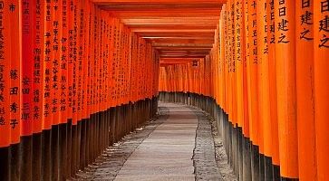 I portali rossi del Fushimi Inari di Tokyo, in un momento in cui non c'è nessuno.