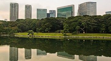 Grattacieli sbucano da dietro gli alberi ai Giardini Hamarikyu, a Shimbashi (Tokyo).