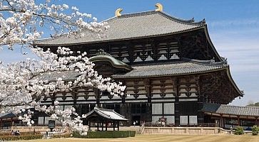 Il tempio Todai-ji di Nara, in primavera.