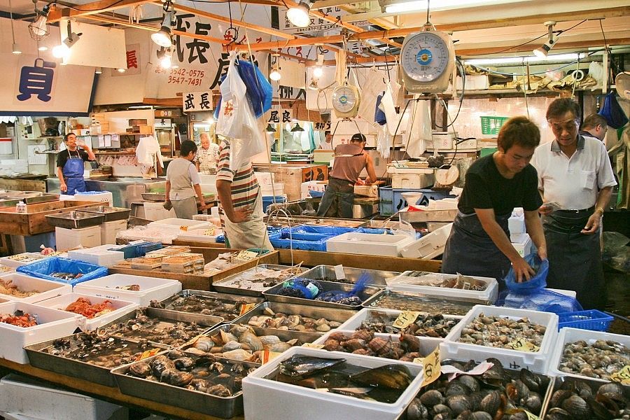 Dove Comprano Il Pesce I Ristoranti Giapponesi