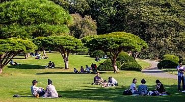 I giardini Shinjuku Gyoen, con varie persone sedute sul prato.