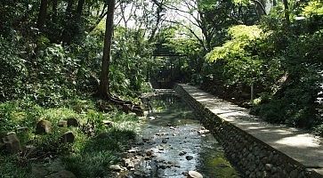 Passeggiata alla valle Todoroki a Setagaya.