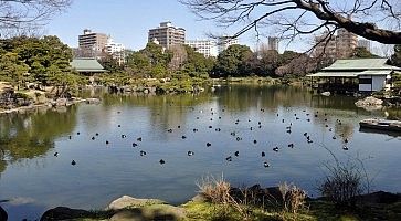 Il lago al giardino Kiyosumi.