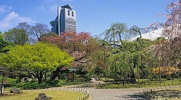 I giardini Koishikawa Korakuen.