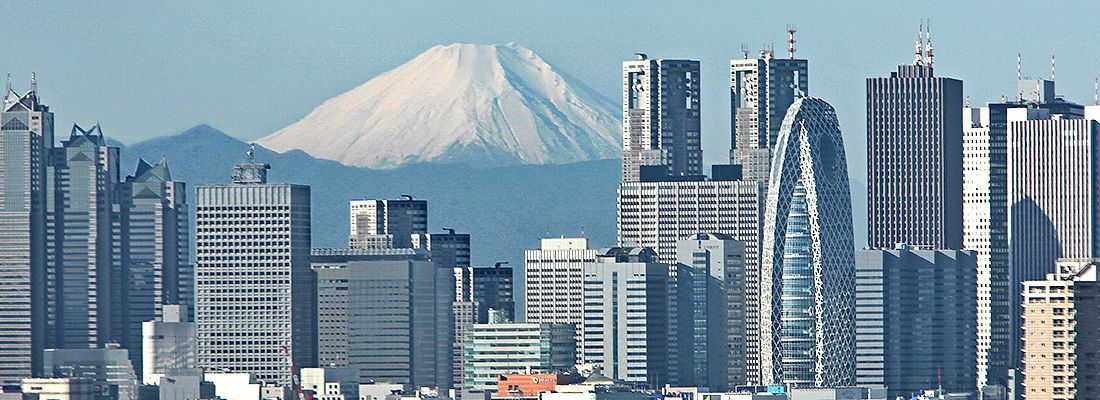 I grattacieli di Shinjuku e sullo sfondo il Monte Fuji.