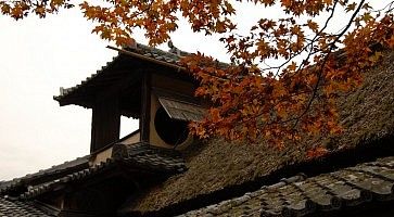 Dettaglio del tetto al tempio Shisendo, a Kyoto.