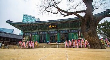 Il tempio Jogyesa a Seoul.