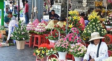 Fiori freschi in vendita al mercato dei fiori di Bangkok.