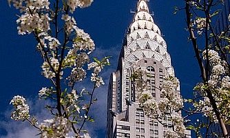 La parte alta del Chrysler Building, e in primo piano un albero in fiore.