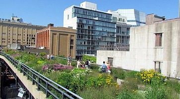 Piante e fiori sulla High Line a New York.