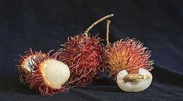 Frutti Rambutan in thailandia.