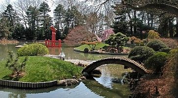 Giardino in stile giapponese al giardino botanico di Brooklyn.