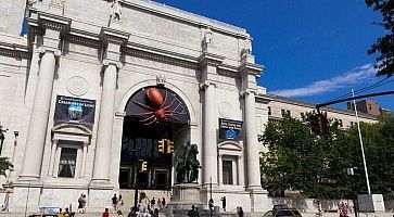 Il Museo di Storia Naturale di New York.