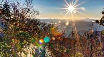 Vista della natura al Great Smoky Mountains National Park.