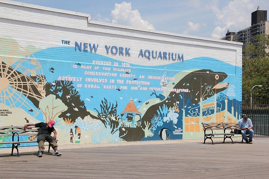 Acquario Di New York