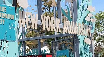 L'ingresso del New York Aquarium.