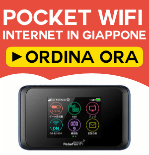 Pocket Wifi