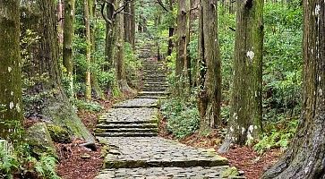 kumano-kodo