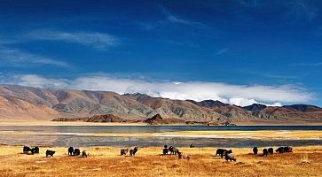 quando-andare-mongolia