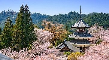 tempio-kinpunsenji