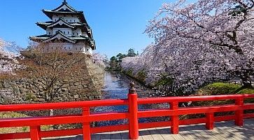 Il castello di Hirosaki, nel Parco di Hirosaki, in primavera.
