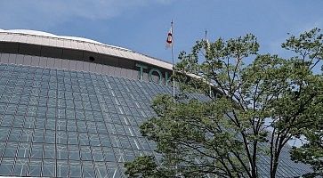 Dettaglio della cupola del Tokyo Dome.