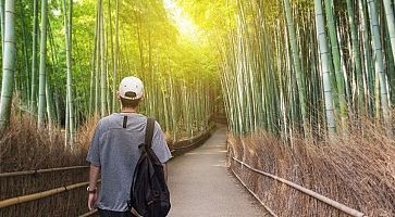 Un ragazzo si incammina nella foresta di bambù di Arashiyama.