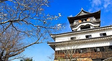 Il castello di Inuyama in primavera.