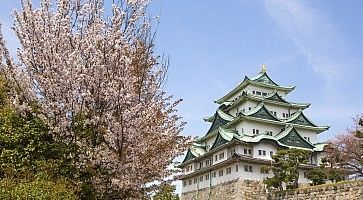 Il castello di Nagoya in primavera.