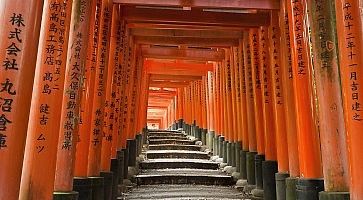 I portali rossi del Fushimi Inari di Kyoto, senza persone.