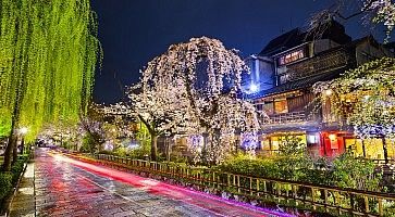 La strada a fianco al canale Shirakawa di Kyoto, nella zona di Gion, in primavera.