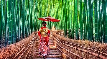 Ragazza in kimono cammina alla foresta di bambù di Kyoto.