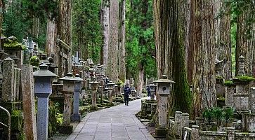 La pittoresca strada che attraversa il cimitero di Okunoin al Monte Koya.