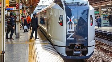 Il treno Narita Express fermo in stazione.