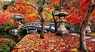 Il ponte che porta al tempio Eikando, in autunno.