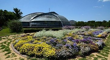 Fiori e piante ornamentali al giardino Botanico di Kyoto.