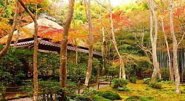 Giardino del tempio Gio-ji a Kyoto.