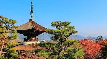 Pagoda del tempio Jojakko-ji in una splendida giornata estiva.