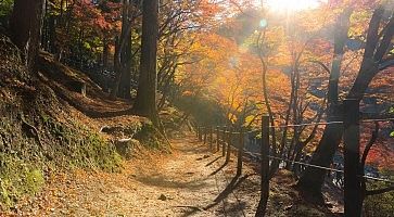 La foresta Korankei di Nagoya, in autunno.