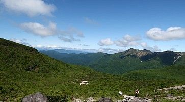 Foreste incontaminate a Nasu Shiobara, nei pressi del vulcano.