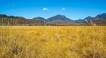 Distesa incontaminata all'Altopiano di Senjogahara.