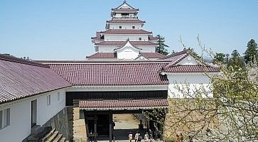 Cherry-blossom trees in Tsuruga castle park.